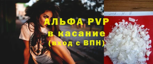 Альфа ПВП Верея