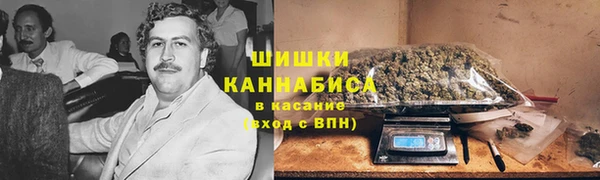 Альфа ПВП Верея