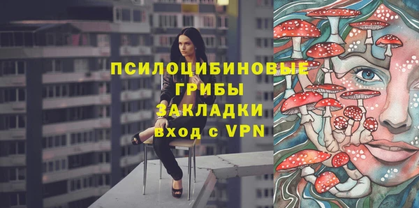 Альфа ПВП Верея