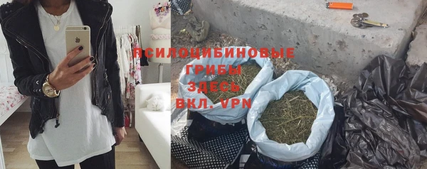 Альфа ПВП Верея
