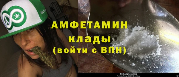 Альфа ПВП Верея