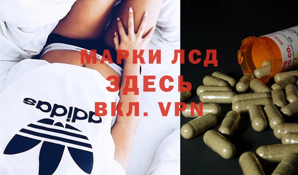 Альфа ПВП Верея