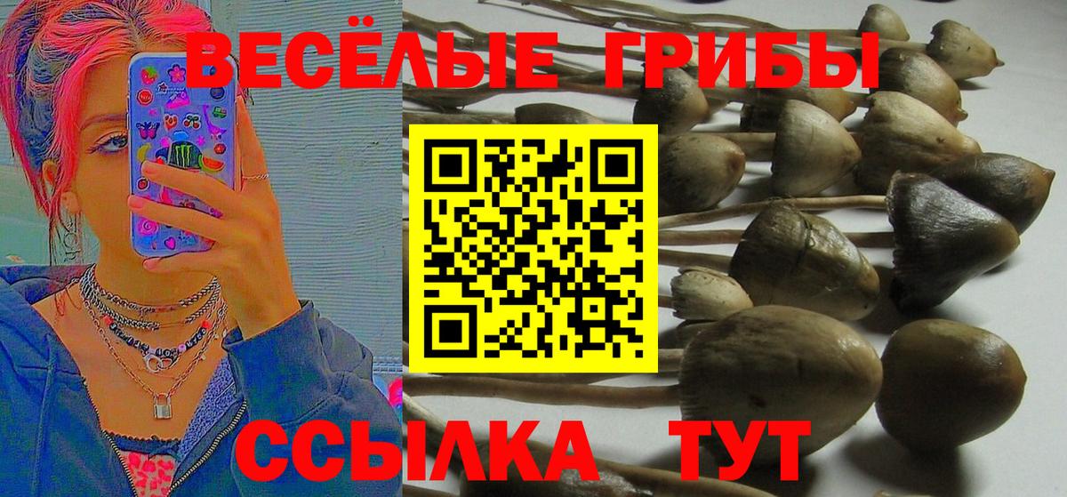 Медногорск  Галлюциногенные грибы Magic Shrooms  Вход с VPN 